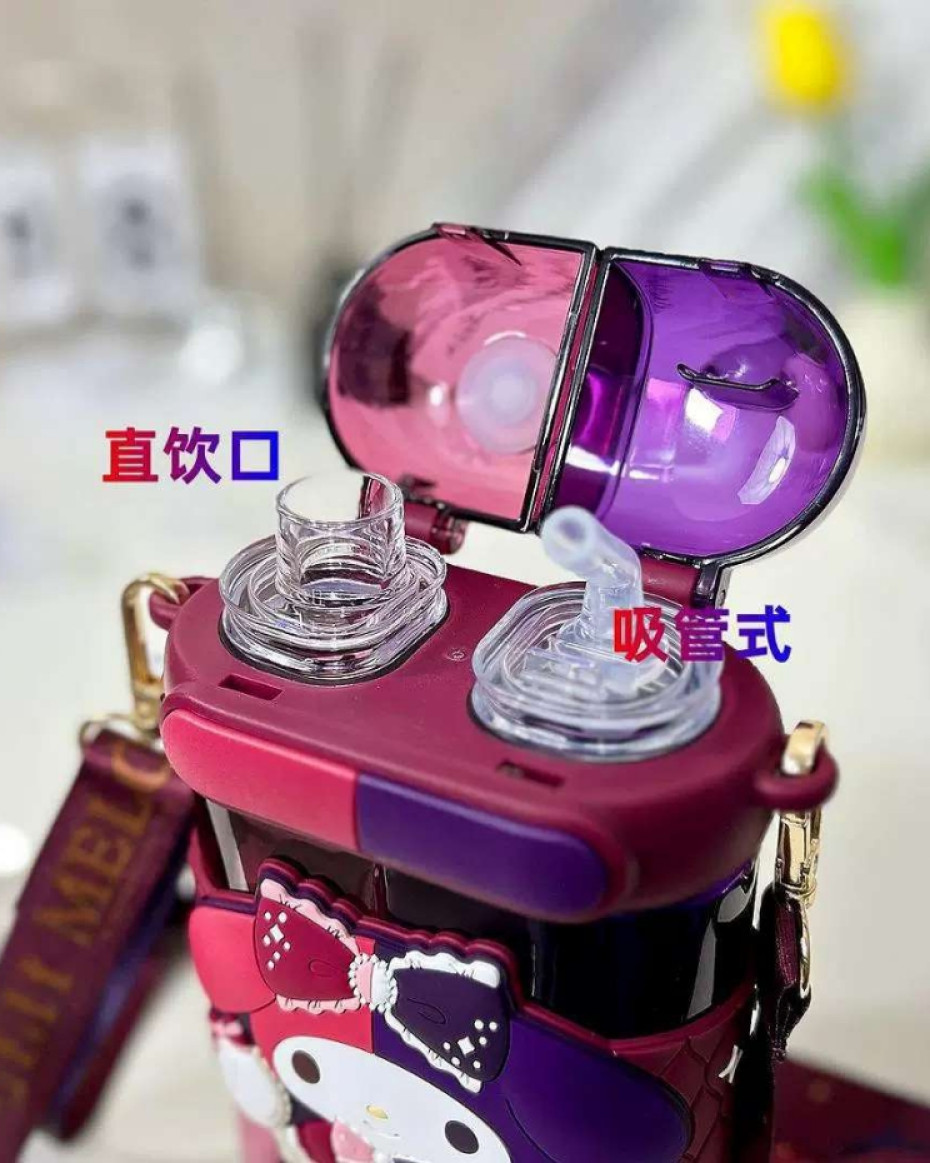 *Durable Silicone 2in1 Compartment Water bottle with lock and long hand