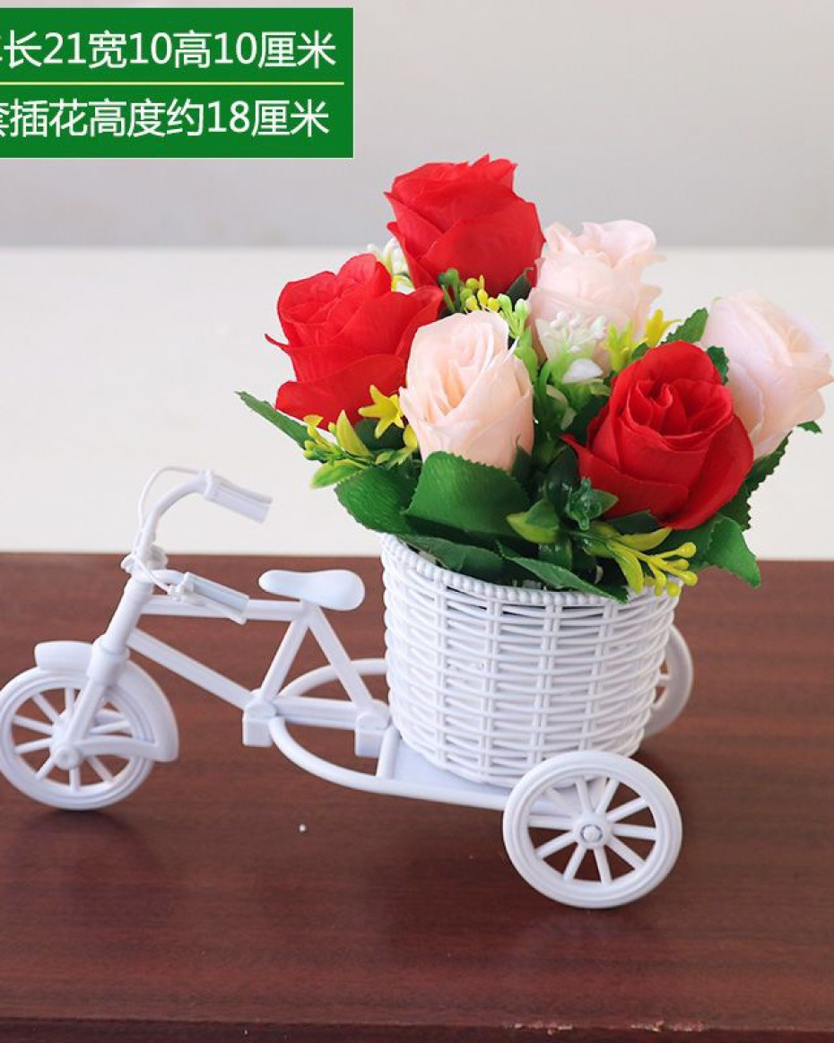 *CUTE ZAHRA BICYCLE POTTED PLANT HOME AND OFFICES