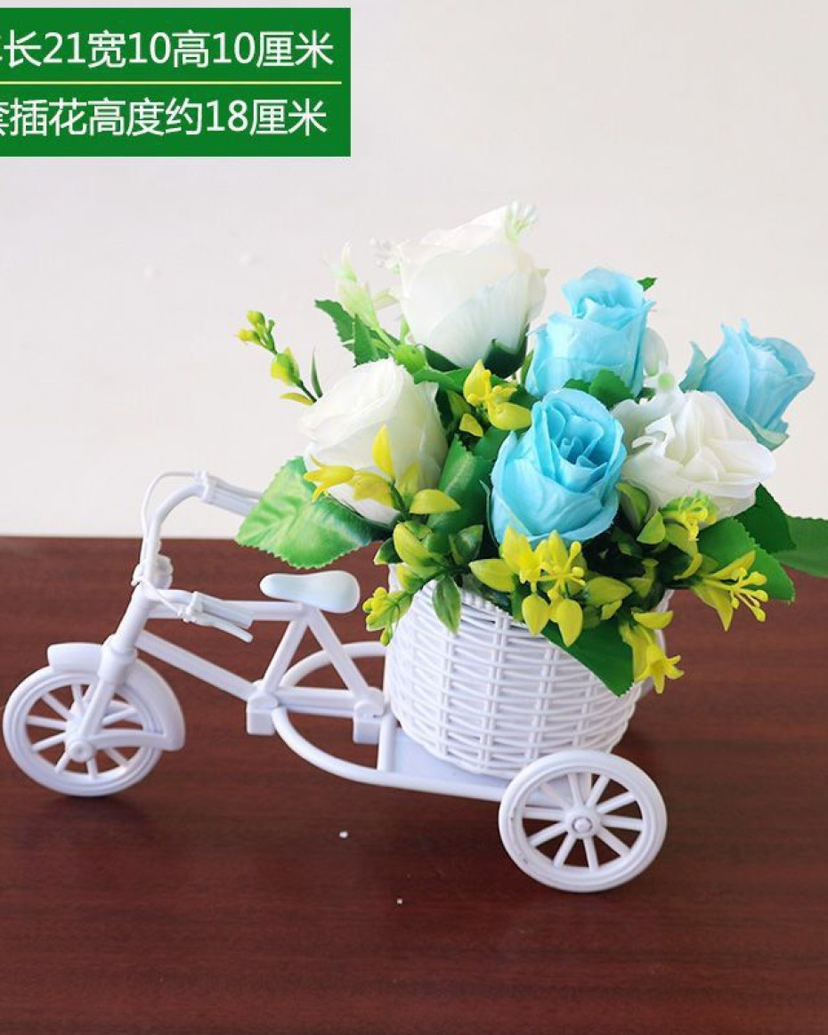 *CUTE ZAHRA BICYCLE POTTED PLANT HOME AND OFFICES