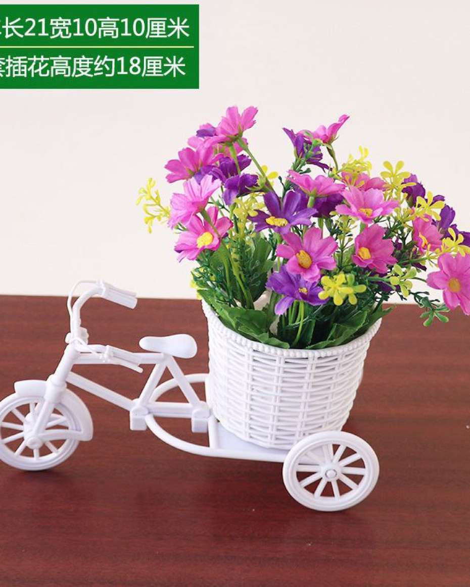 LOVETH BICYCLE POTTED PLANT HOME AND OFFICE DECOR