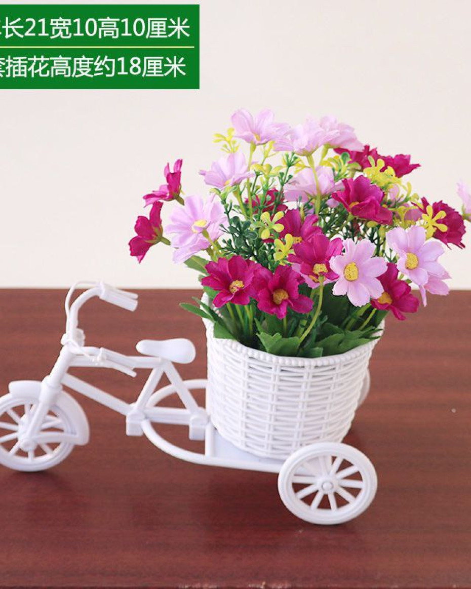 LOVETH BICYCLE POTTED PLANT HOME AND OFFICE DECOR