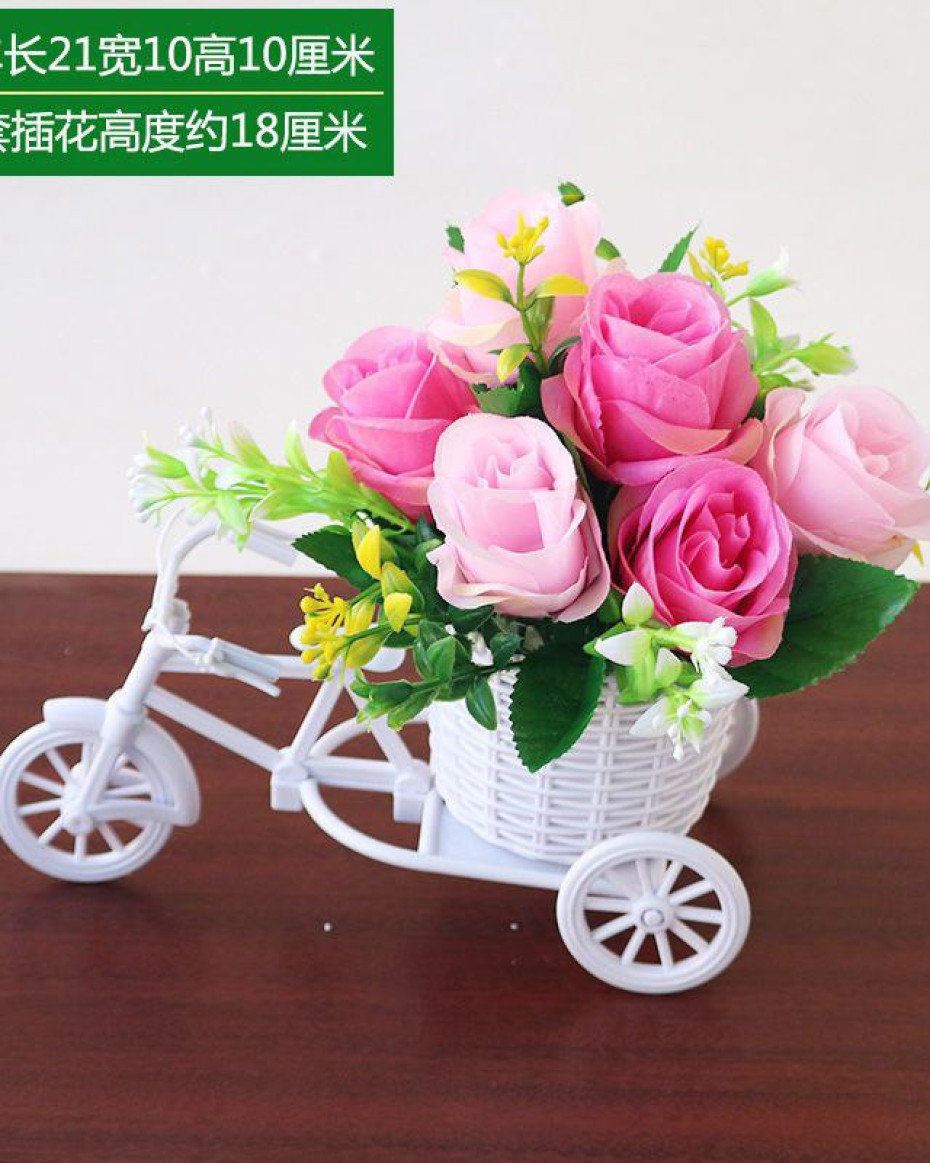 CUTE ZAHRA BICYCLE POTTED PLANT HOME AND OFFICE DECOR